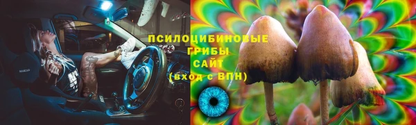 спайс Аркадак