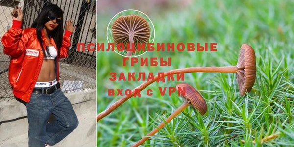 гидра Арсеньев