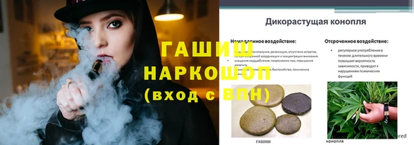 гидра Арсеньев