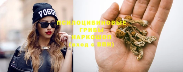 гидра Арсеньев