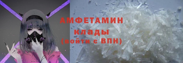 гидра Арсеньев