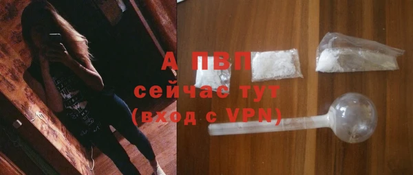 гидра Арсеньев