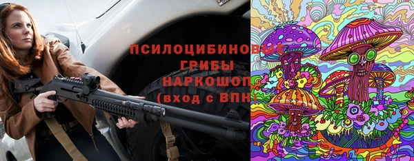 гидра Арсеньев