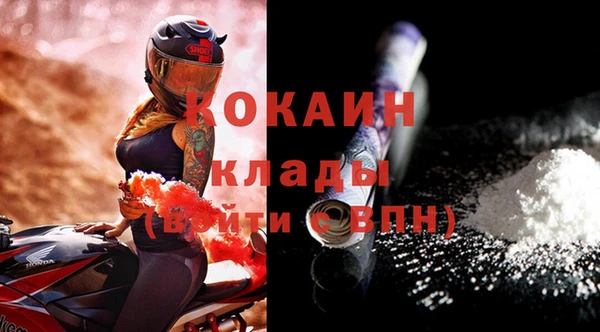 гидра Арсеньев